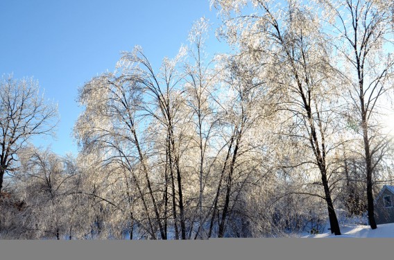 雪景色